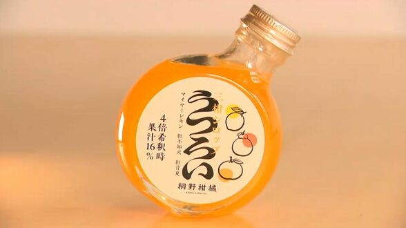 両親の農園を受け継いだ22歳女性の挑戦　規格外の果物でつくる「三柑シロップうつろい」で阿久根に元気を【ちいきのチカラ(14)】　|　鹿児島のニュース｜MBC NEWS｜南日本放送