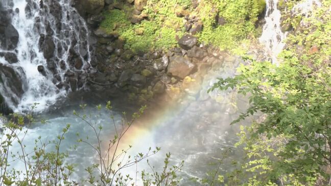 “乗鞍最後の秘境”「五色ヶ原の森」　北アルプスのふもとに広がる絶景の数々　壮大で美しい滝が人々を魅了　岐阜・高山市|TBS NEWS DIG