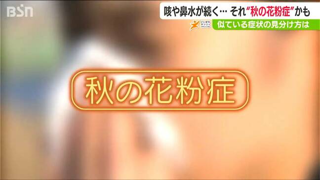 鼻がぐずぐず、咳が止まらない… それ“秋の花粉症”かも 「粒子が小さく“ぜんそく”のような症状」今年は猛暑の影響も？|TBS NEWS DIG