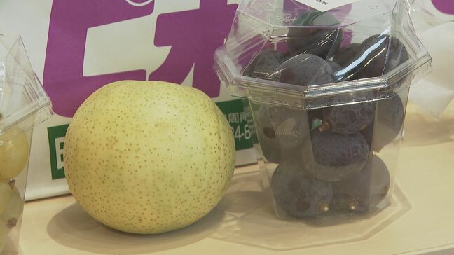 「ゾウさん堆肥」で栽培　ナシとブドウ販売　環境に優しい動物園を目指す|TBS NEWS DIG