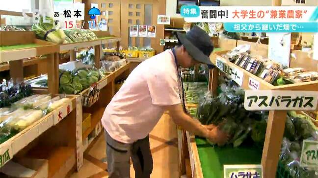 「学業」と「農業」の“兼業農家”！祖父の影響で農業のとりこになった19歳の大学生　二刀流で奮闘中　「耕作放棄地などに視点を置いて規模拡大を図りたい」長野|TBS NEWS DIG