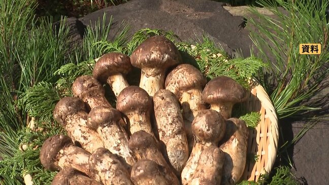 9月なのに暑い 都心で25年ぶり37℃ 各地で40℃に迫る暑さに… “秋の味覚の王様”マツタケがない　一方、サンマは絶好調 去年より大きい|TBS NEWS DIG