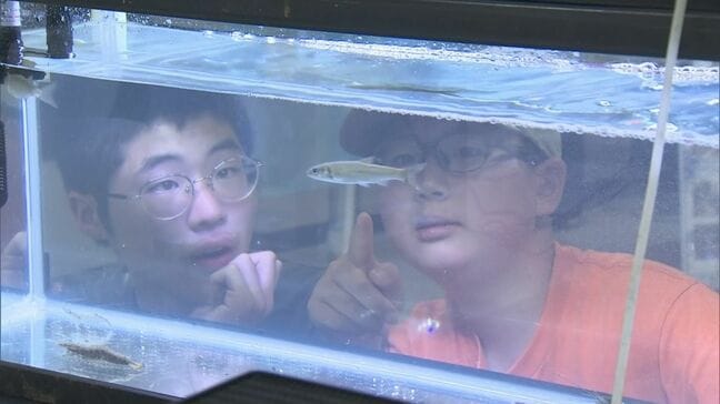 子どもたちが見て触れて 延岡市で「川のいきもの展」|TBS NEWS DIG