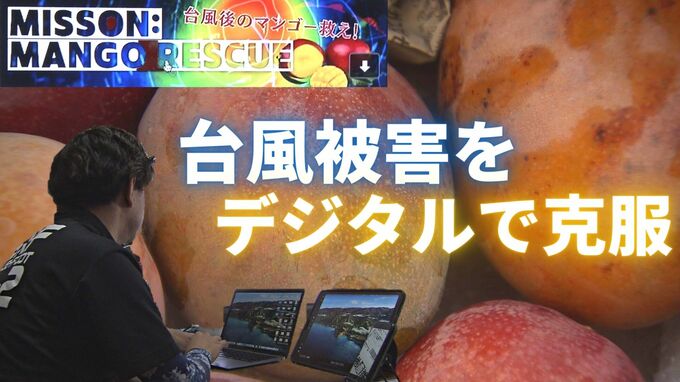 農家の救世主『デジタルはるさー』台風被害をデジタルで克服　農業×ITで持続可能な農業を目指す|TBS NEWS DIG