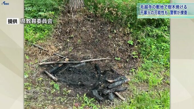 世界遺産「毛越寺」で不審火か　岩手・平泉町　木が焼ける被害相次ぐ　建造物は無事|TBS NEWS DIG