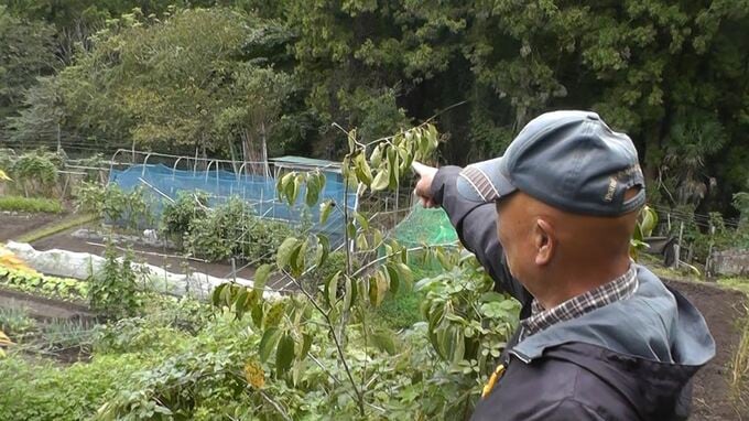 「むこうが『ウォッ』と威嚇」クマが2日連続で民家周辺に　目撃件数は246件で過去最多　山梨|TBS NEWS DIG