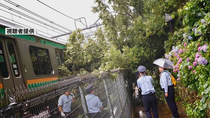 東京・北区の公園で倒木 “湘南新宿ライン”の電車と接触　一時運転見合わせる　けが人なし|TBS NEWS DIG