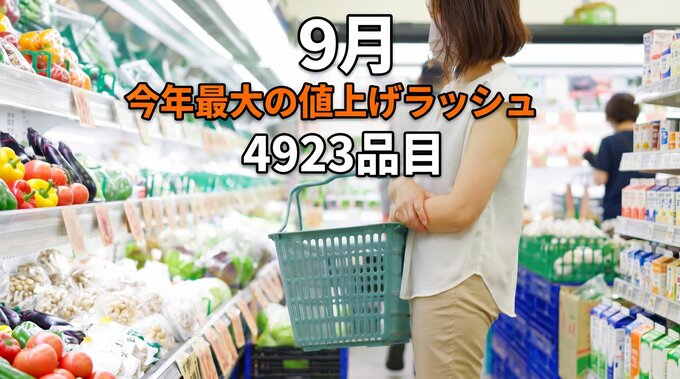 【今年最大の値上げラッシュ】9月の食品値上げは4923品目　調味料や加工食品が中心に|TBS NEWS DIG