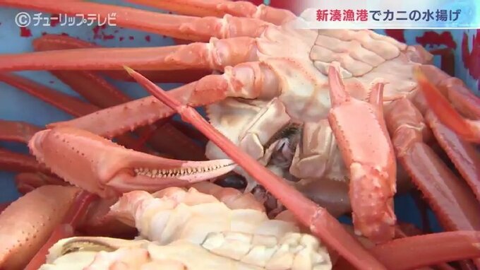 地震で土砂崩れの中に…被害受けたベニズワイガニ漁再開「乗組員のおかげ、カニたくさん入ってた」喜びの声　|　富山のニュース｜天気・防災｜チューリップテレビ