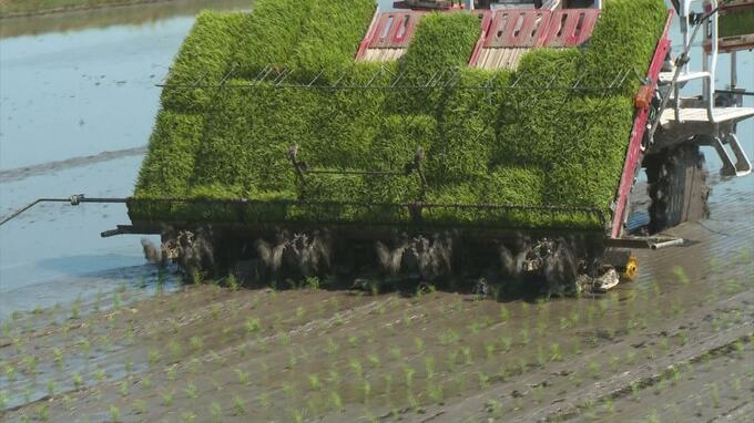田植えの進捗率は県全体で88％に　平年を6ポイント上回って順調に進む　青森県　|　青森のニュース│ATV NEWS│青森テレビ
