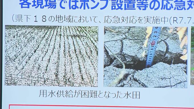 ついに「断水」も…田んぼはひび割れ、用水は順番に「番水」　鳥取県で渇水の影響広がる　県が対策をバックアップ「渇水状況はなお続く」|TBS NEWS DIG