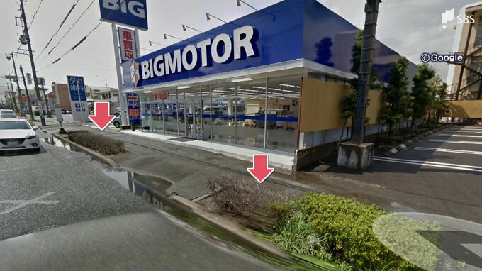 「ビッグモーター」が街路樹の伐採や植え替え費用246万円を浜松市に支払う　市「被害届提出しない」　|　静岡のニュース | SBSNEWS | 静岡放送