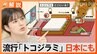 殺虫剤が効かない"スーパートコジラミ"も　もし家で見つけたら？弱点は"熱"【Nスタ解説】|TBS NEWS DIG