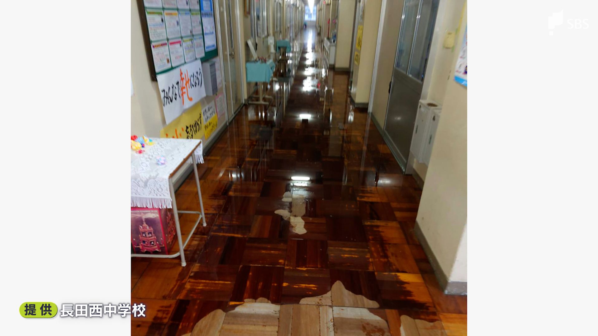 img_a133be63e25617f1108c20474c