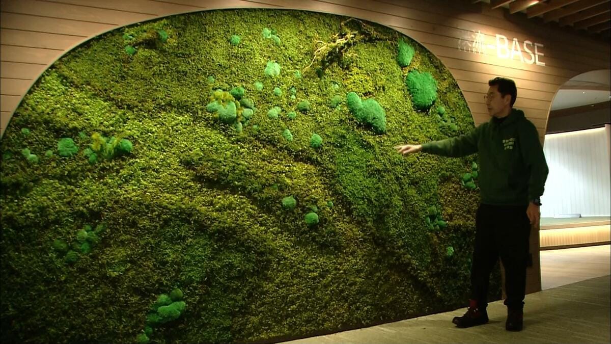 星野リゾート 奥入瀬渓流ホテルに巨大な苔のアートウォールが完成 苔