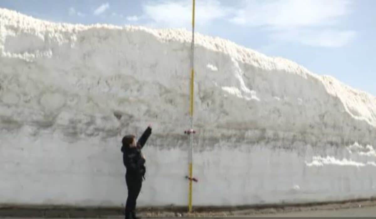 雪の壁は4m！志賀草津高原ルート雪の回廊ウォーキングが4年ぶりに開催