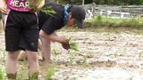 実りの秋へ　「みんなの食糧になればいい」　児童たちが田植え体験学習　青森県風間浦村|TBS NEWS DIG