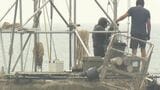 遺骨あるとみられる本坑道にたどり着くも・・・ 遺骨収集へ潜水調査 長生炭鉱|TBS NEWS DIG