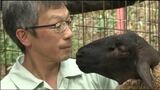 肉も皮も毛も 愛情注いで育てたサフォークを無駄なく活用 生産農家が取り組むSDGs | SBC NEWS | 長野のニュース | SBC信越放送