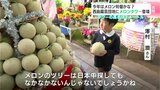 「すごい!楽しかった!」今年はメロン何個かな? 西島園芸団地にメロンタワー登場 | 高知のニュース・天気|KUTV NEWS | KUTVテレビ高知
