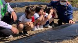交通事故根絶の願いを込めて 子どもたちが種植え 「ひまわりの絆プロジェクト」 大分 | 大分のニュース|OBS NEWS|大分放送