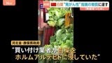 中国で買い付け業者が白菜をホルムアルデヒドに浸す 「鮮度を保つことを目的とした違法行為」インターネット上の告発を受け調査|TBS NEWS DIG