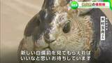 白備前に「黒いぶちも」来年の干支 “うさぎ” の備前焼 木村玉舟さんの作品約80点を展示【岡山・倉敷市】|TBS NEWS DIG