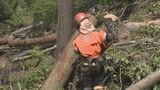 能登半島地震から２年５カ月　被災地の林業の現状は　地震で奪われたなりわい再建へ　|　石川県のニュース｜MRO北陸放送