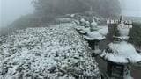 寒波　鹿児島市で初雪　山沿いでは積雪も　|　鹿児島のニュース｜MBC NEWS｜南日本放送