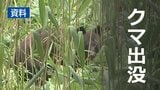 秋田県立大学の敷地内で体長1メートルほどのクマ目撃|TBS NEWS DIG