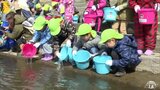 子どもたちがサケの稚魚の放流で日米の交流深める | 青森のニュース│ATV NEWS│青森テレビ