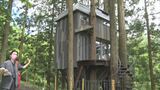 ワクワクすること間違いなし!泊まれる”ツリーハウス”完成!島根県江津市|TBS NEWS DIG
