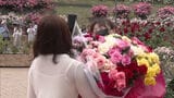 色鮮やかなバラを楽しめる「春のバラフェア」北九州市若松区のグリーンパークで開催 | 福岡のニュース|RKB NEWS|RKB毎日放送