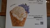 「伊豆の素敵な食材をジェラートで」日本開国舞台の地に期間限定カフェ＝静岡・下田市|TBS NEWS DIG