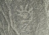 新発見画像40枚以上掲載 山形大学が新たに303点の地上絵を発見 地上絵が描かれた謎を解くカギに | 山形のニュース│TUYテレビユー山形