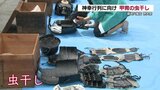 藤崎八旛宮　例大祭に向け甲冑の虫干し　　|　熊本のニュース｜RKK NEWS｜RKK熊本放送