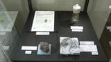 新属新種のクモヒトデ化石発見　特別公開　|　福岡のニュース｜RKB NEWS｜RKB毎日放送