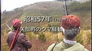 矢部町のクマ騒動【昭和57年・1982年】～RKKニュースミュージアム～ 熊本　|　熊本のニュース｜RKK NEWS｜RKK熊本放送