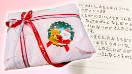 「どうしようサンタさん」SNSで繋がった2人の母「6歳の女の子のクリスマス」みんなで守った魔法|TBS NEWS DIG