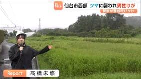 クマに顔を引っかかれて出血するけが 園芸用品店の60代男性 従業員は「草の処分をしていた、本当に恐ろしい」|TBS NEWS DIG