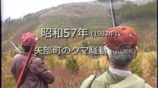 矢部町のクマ騒動【昭和57年・1982年】～RKKニュースミュージアム～ 熊本　|　熊本のニュース｜RKK NEWS｜RKK熊本放送