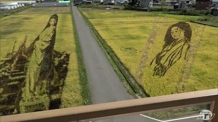 秋色に染まる「田んぼアート」 黄金色に染まるイネ・実りの秋ならでは