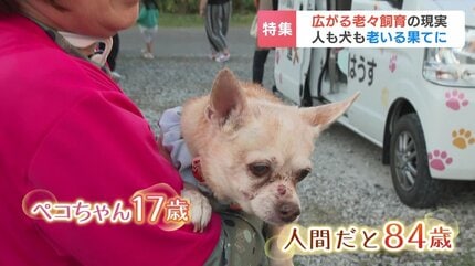 徘徊や排せつ障害…歩行困難 『ごめんね、ごめんね』愛犬を泣きながら