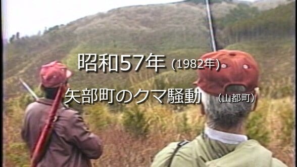 矢部町のクマ騒動【昭和57年・1982年】～RKKニュースミュージアム～ 熊本　|　熊本のニュース｜RKK NEWS｜RKK熊本放送