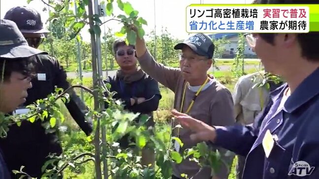 リンゴ栽培の「省力化」や「生産収量の増加」期待の『高密植栽培』の実習に新規就農者など29人参加　“未来のリンゴ生産”に期待寄せる　青森県|TBS NEWS DIG