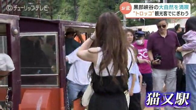 子どもも大人も大興奮!「猫又駅」で散策も 奇跡の絶景…黒部峡谷トロッコ旅で夏の大自然を満喫 富山|TBS NEWS DIG