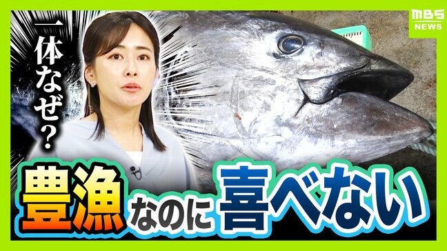 【豊漁!クロマグロ】でも獲っても海にリリース…背景に「漁獲枠」のジレンマ 枠拡大の合意寸前でメキシコが突き付けた「NO」 専門家「“政治的カード”としてマグロが使われた可能性」マグロの今後は?|TBS NEWS DIG