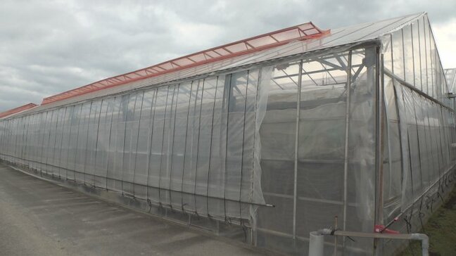 トラクター運転の77歳男性が死亡 農業用ハウスの中で運転中に支柱に衝突 山梨|TBS NEWS DIG