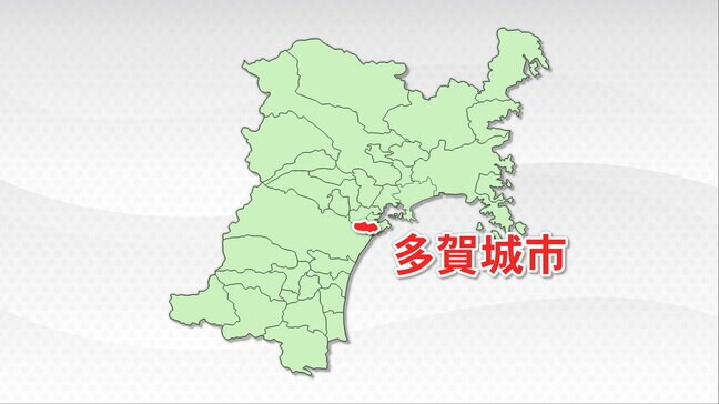 「免許更新のはがき自宅に届かなかった」無免許の状態で公用車4回運転36歳職員を戒告処分 宮城・多賀城市|TBS NEWS DIG