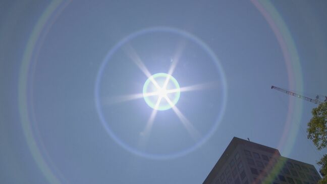 【速報】熱中症疑いで90歳男性が死亡  畑で倒れているのが見つかる  岐阜・池田町|TBS NEWS DIG